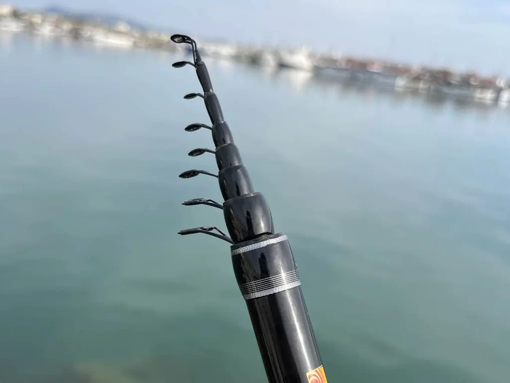 canna pesca bolognese