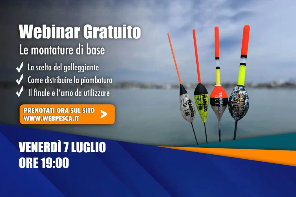 webinar le montature di base