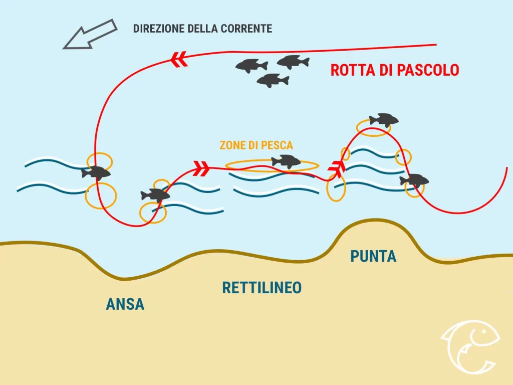 zone di pascolo dei pesci Surfcasting dove lanciare