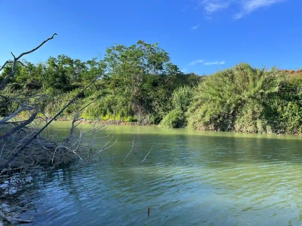 Dove Pescare a Finesse al Black Bass