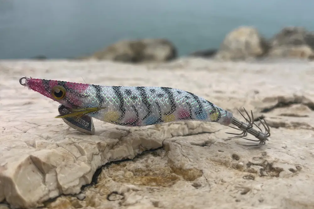 la totanara, esca per le seppie