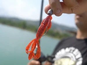 Craw per black bass