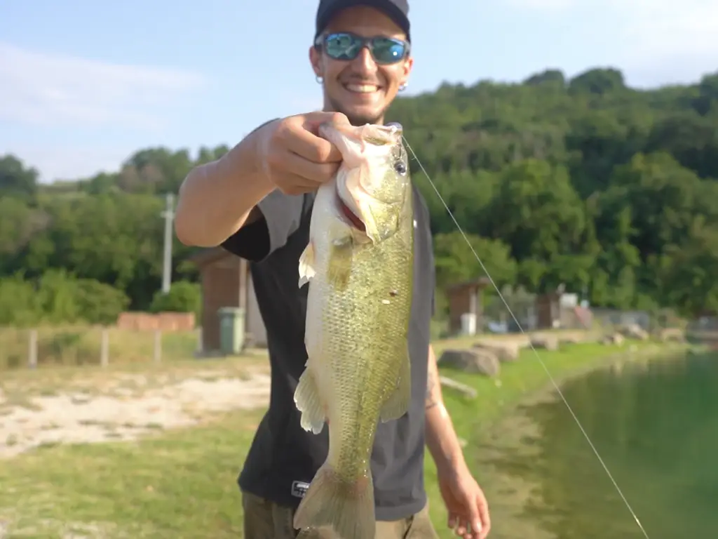 Pesca al black bass