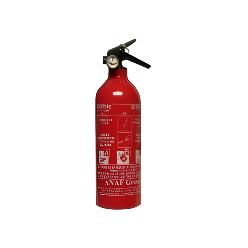 Estintore Marine Hardware con manometro 1 kg