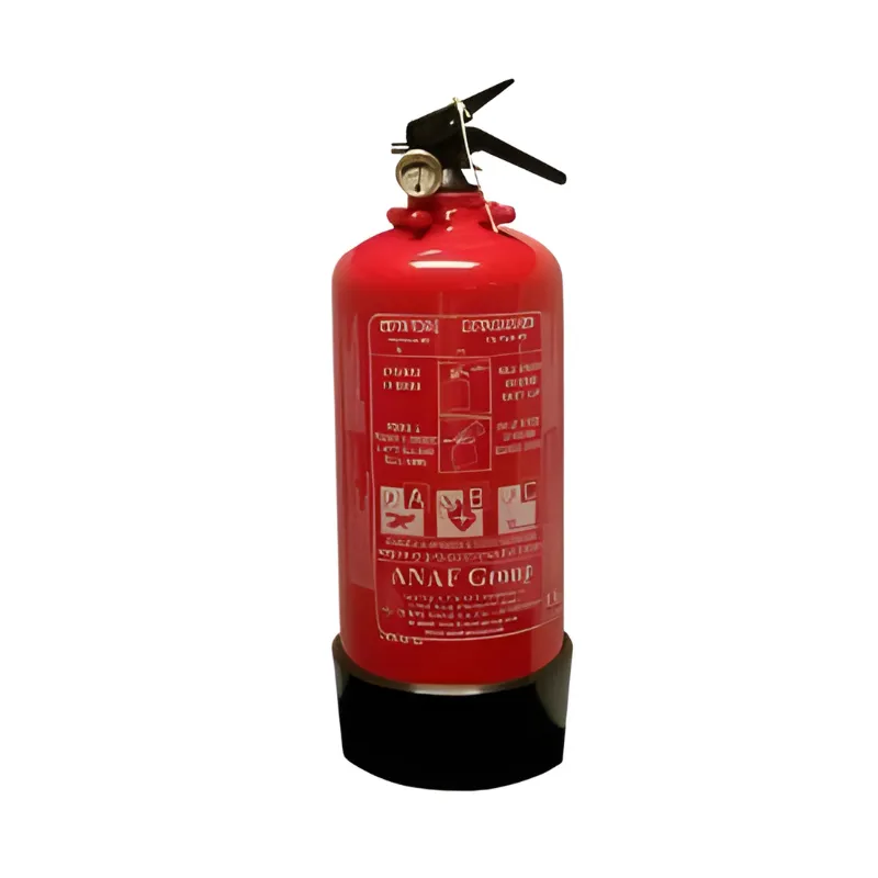 Estintore Marine Hardware con manometro 2 kg