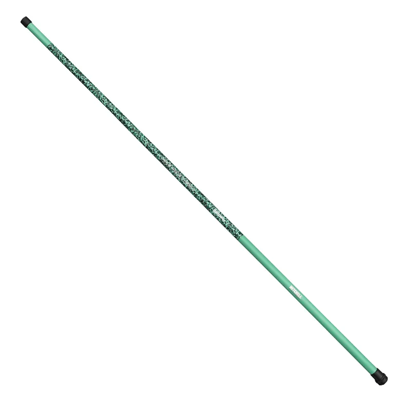 Canna Fissa Mitchell Catch Pro II Telepole 3 mt