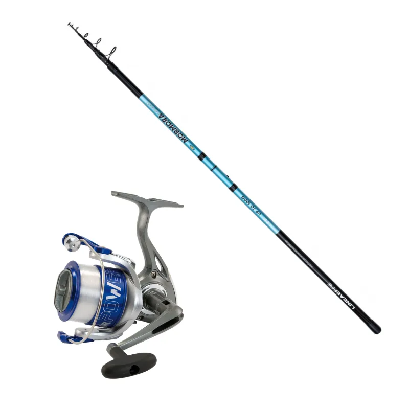 Combo Mormora Lineaeffe Mormora Procast 4.20 mt 100 gr + Vigor Power-2 50 cfilo