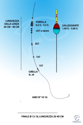 montatura per la pesca a bolognese sul fondo