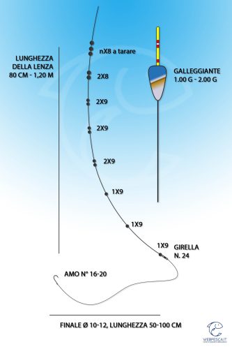 montatura per la pesca a bolognese con il bigattino